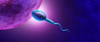 Concerned about the absence of sperm in your ejaculate?