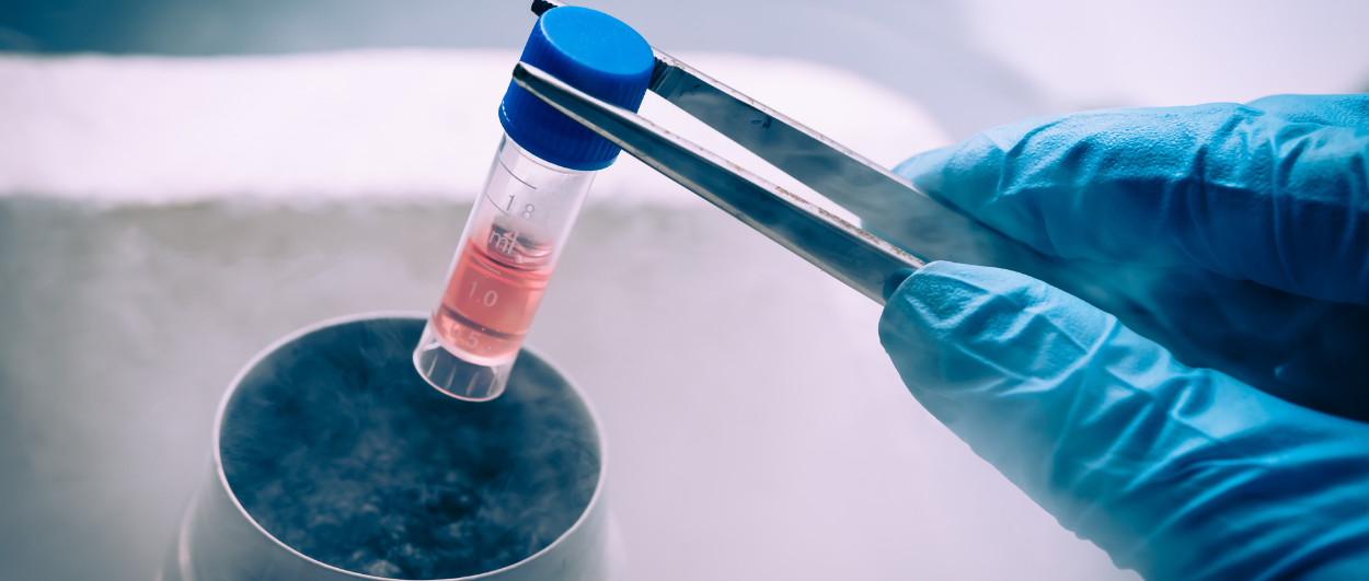 When to Consider Egg Freezing: A Comprehensive Guide