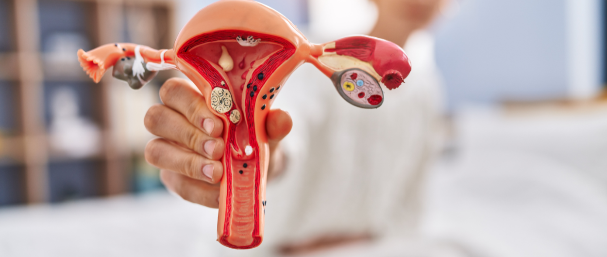 Blocked or Scarred Fallopian Tubes and How This Can Affect Female Fertility