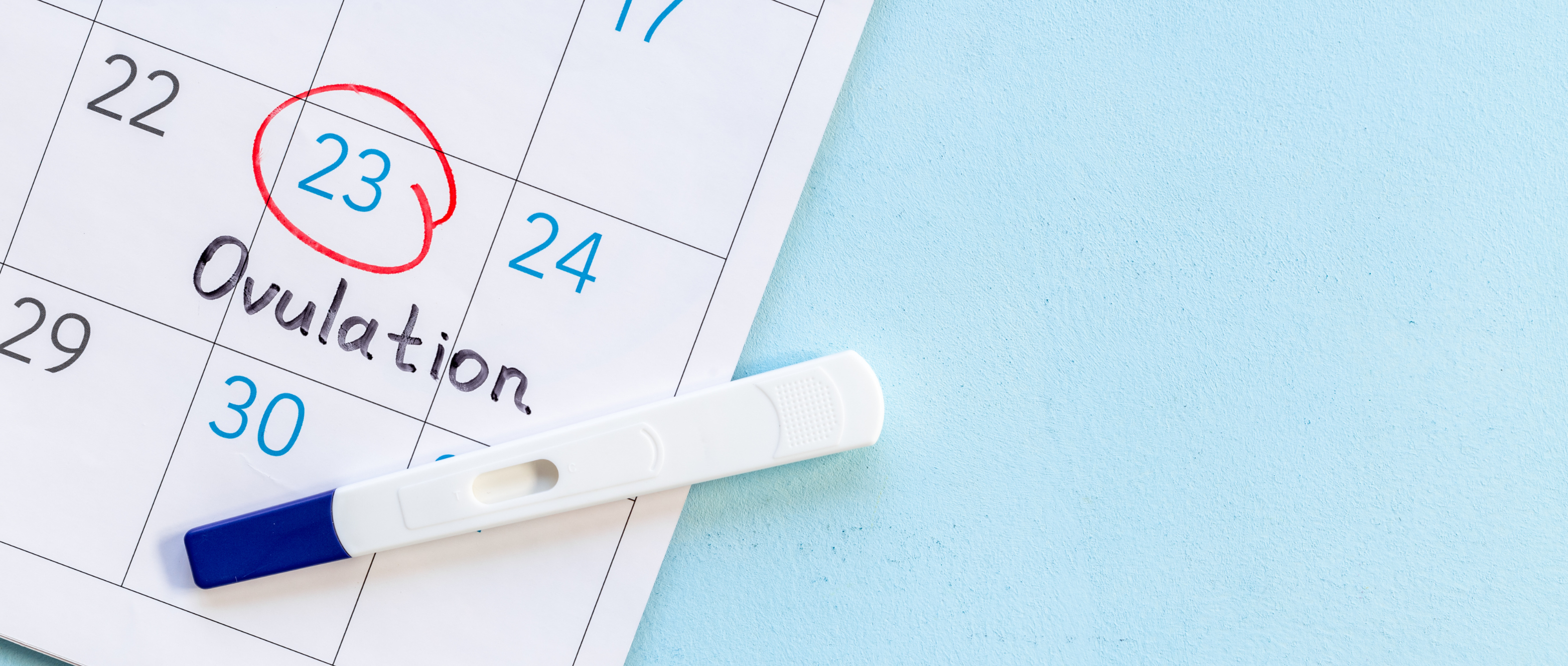 The Ovulation Calculators
