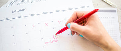 The Ovulation Calculators