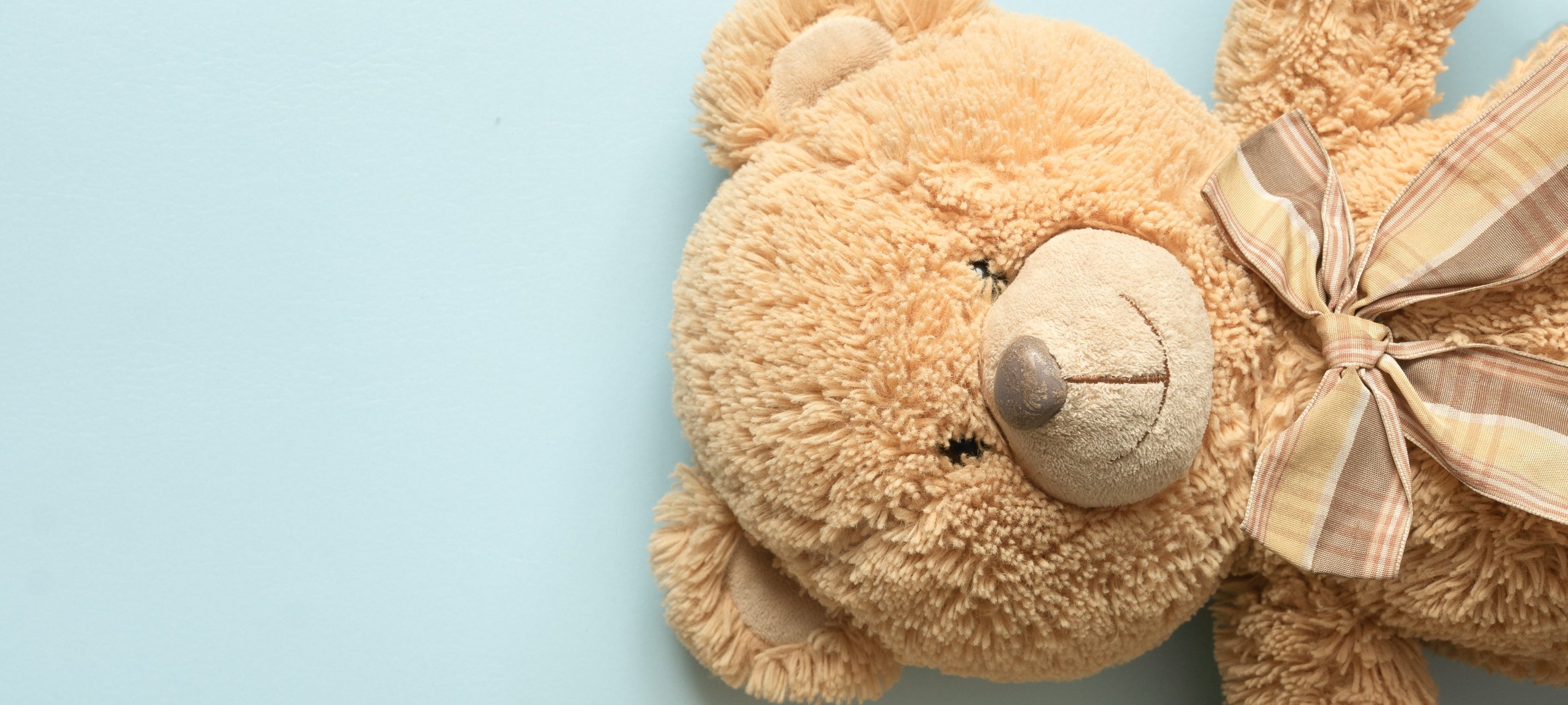 Teddy bear on baby blue background