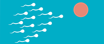 Male Fertility Supplements