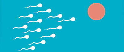 Male Fertility – The 4 Vitamins & Minerals that can help Optimise Sperm Quality