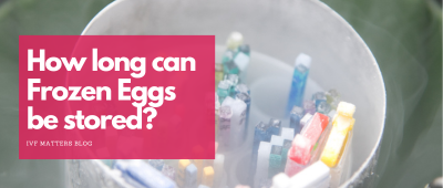 How Long Can Frozen Eggs Be Stored?