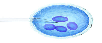 How Long Can You Freeze Sperm For IVF Treatment?